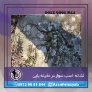 نشانه اسب و اسب سوار در گنج یابی