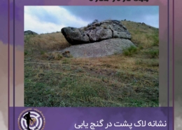 نشانه لاک پشت در گنج یابی