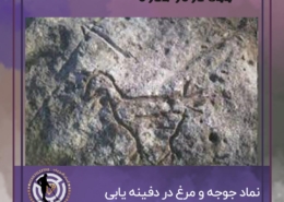 نشانه مرغ و جوجه در گنج یابی