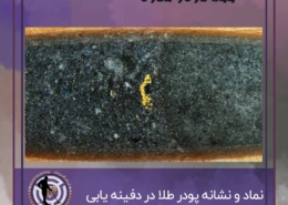 پودر طلا در گنج یابی
