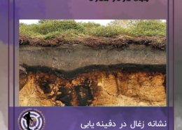 زغال در خاک برای گنج یابی