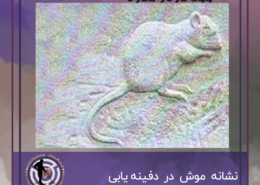 نشانه موش در دفینه یابی