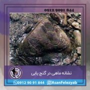 نشانه ماهی در گنج یابی