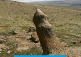 آلت تناسلی مرد