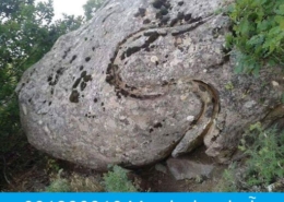 نشانه مار در دفینه یابی