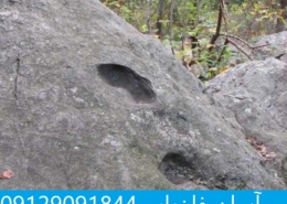 ردپای انسان