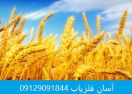 نشانه یونجه