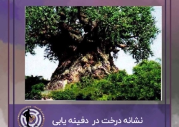 نشانه درخت در گنج یابی و دفینه یابی