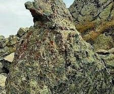 نماد کبک و تفسیر آن