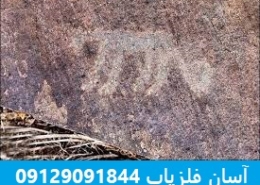 معنی و مفهوم نماد پلنگ در گنج یابی و دفینه یابی