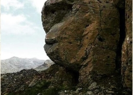 تفسیر نماد میمون در گنجیابی